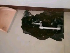洞头卫生间测漏水多少钱